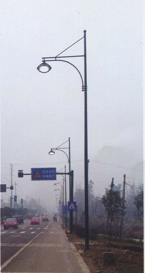 成都路灯厂家案例：新都区军屯镇道路灯